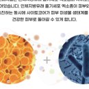 라민의원 이미지