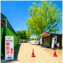 양주 나리공원 유채꽃 청보리 무료개장 마지막 날 다녀온 후기