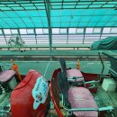 대천서중학교 | 대천 여행, 대천 데이트 대천해수욕장 스카이바이크[보령시 신흑동]