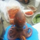 바다가 좋아 이미지