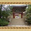 仙岩寺의 영산홍과 자산홍이 한 철 이미지