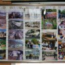 태안양계장 이미지