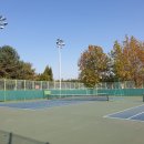 대덕사회인야구장 이미지