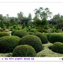 소유농원 이미지