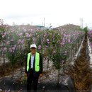 이동철농장 이미지