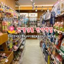 지아 애견샵 | 대전 반석동 애견용품점 견생냥품 | 유성구 반석역 애견용품 무인샵 추천 | 영업시간•위치
