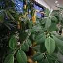 SM휘트니스 이미지