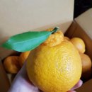 서준농장 이미지