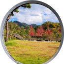 금호지 경관쉼터(소망교) | 청룡을 닮아 항상 물이 푸르다고 하는 진주 금호지 둘레길