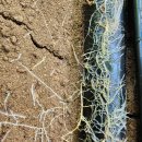 도경농장 이미지