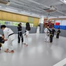 백인 합기도 이미지