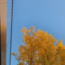 청죽교회 이미지