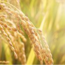 정안상사 이미지