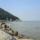 초롱블루펜션 네이버블로그
