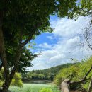 모두다잇소 | 밀양 여행 ③ | 2일차 초록으로 가득 찬 코스🌿, [위양지 - 카페 잇소 - 청원분식]