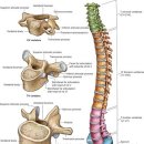 로안한의원 이미지