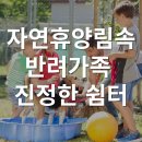 더조은펫 - 미추홀구 경인로 350-1 | 더조은펫