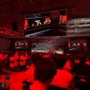 모자정육점 | 2026 MSI T1 경기 관람 후기