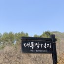 대통밥1번지 | 전주 맛집 '대통밥1번지' 후기