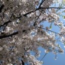 소풍가자 이미지