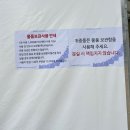 서울시청매점 이미지