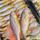 9월 14일(화) 목포는항구다 생선카페 판매생선[ 생물참조기(140미), 파갈치(중대, 대), 오징어, 아나고장어, 민어(숫치), 이미지