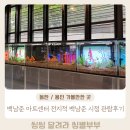 백남준로2 | 용인 가볼만한 곳 용인 무료 전시 백남준 아트센터 전지적 백남준 시점 관람후기