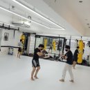 체크맷 스파르타쿠스 짐 이미지