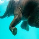 상업용 5 이미지