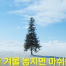 제주로와민박