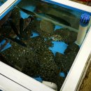 수산물직판장(6호) 이미지