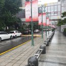 광림메디칼 | 190815 뮤지컬 <시라노>, <사의찬미> 관극 후기