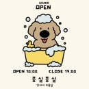 뭉실뭉실 | 포항 문덕 강아지 미용실 내돈내산추천 |“뭉실뭉실” 말티즈 미용