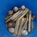 골드하우스 펜션 이미지