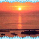 컴퓨터 완전 기초 이미지