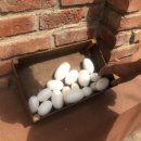 오티농장 이미지