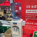 하루를봄 | 논산 딸기축제 다녀온 후기🍓 봄 햇살 아래 달콤함 가득했던 하루