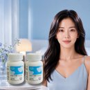 웰리