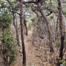 옥도면 장자도리 | 고군산군도 관리도 깃대봉-천공굴-장자도-선유도 여행기록