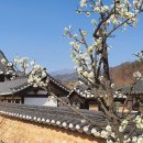 한국선비문화수련원 이미지