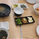 회뜨는꾹이