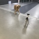 이씨네복덕방 이미지