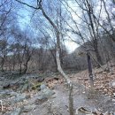 신암1리마을회관 이미지