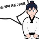 용인대 미르 태권도 이미지