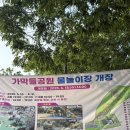 덕장초등학교 | ☀️ 의왕시에 없던 물놀이터! 가막뜰공원 물놀이장 개장 후기