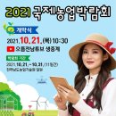 박경원낙지천국