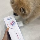 (주)워터웰 | 다이소 샤워헤드보다 좋은 워터웰 찐사용후기