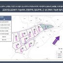 금강커피 이미지