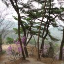 정릉26 이미지