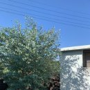 하늘민박 이미지